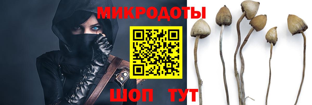 Керчь  Псилоцибиновые грибы мухоморы  Галлюциногенные грибы MAGIC MUSHROOMS  Вход с VPN 