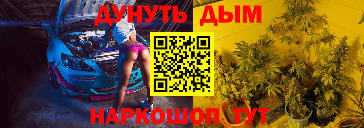 Конопля ГИДРОПОН  Бошки Шишки семена  Керчь  Каннабис Ganja  Вход с VPN 